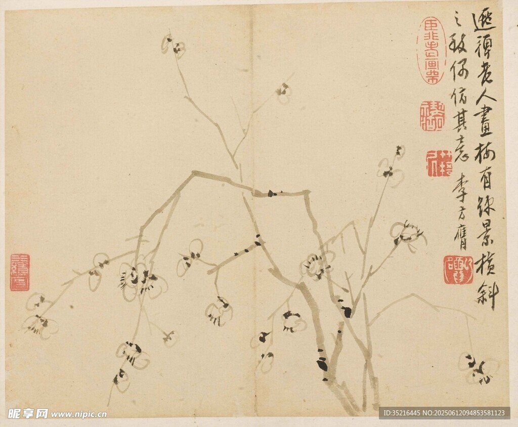 水墨花鳥圖