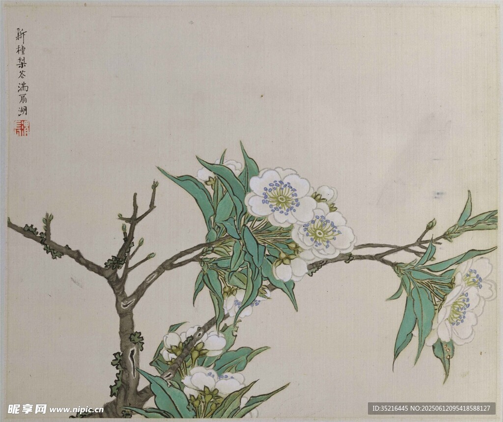 水墨花卉圖
