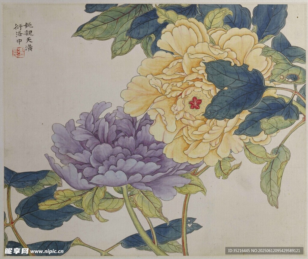 國畫牡丹花卉圖