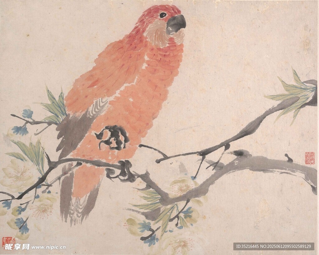 枝頭紅羽鸚鵡圖
