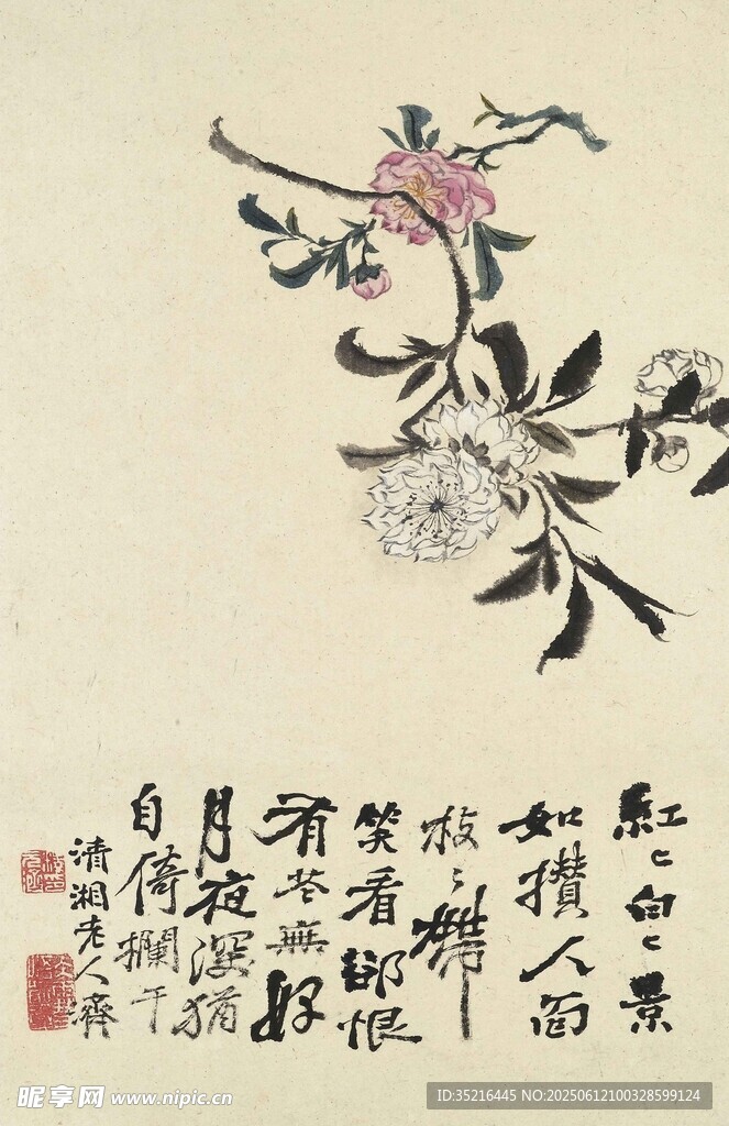 水墨花卉圖