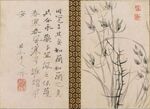 水墨蘭草圖