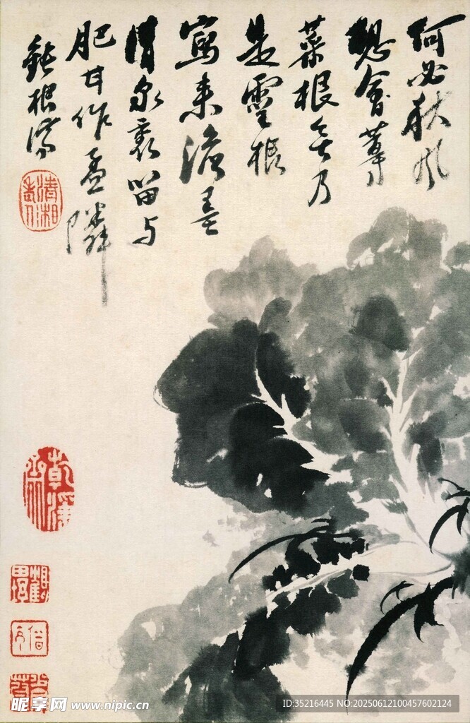 水墨白菜圖
