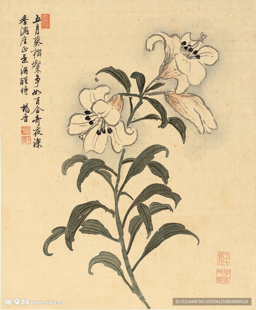 中式花卉圖繪