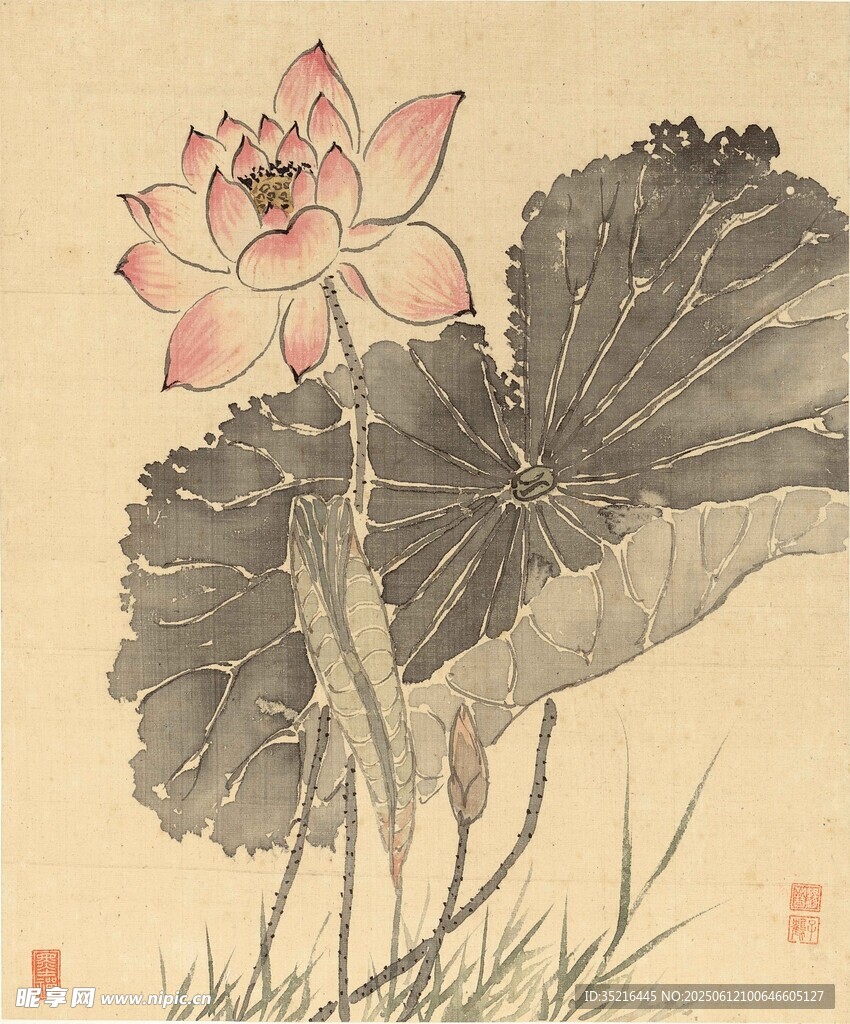 水墨荷花圖