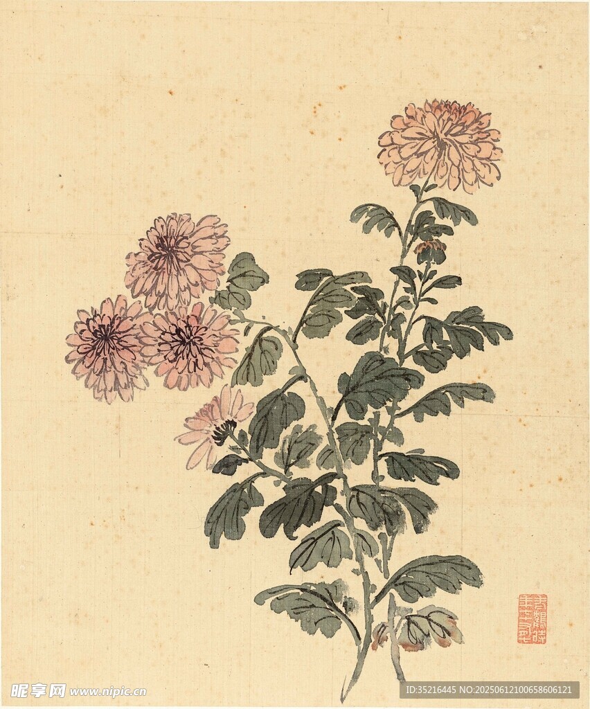 水墨菊花圖
