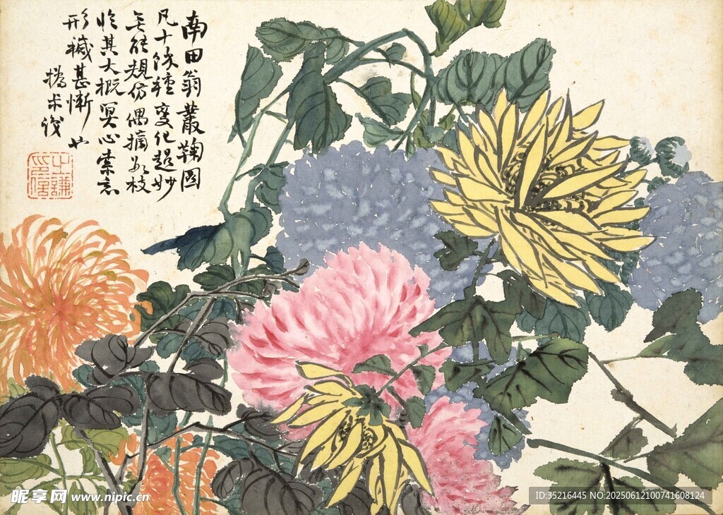 國(guó)畫菊花圖