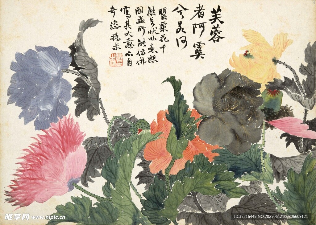 國畫花卉圖