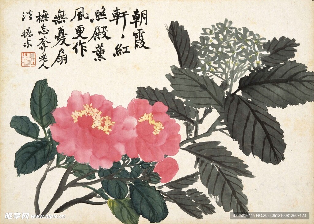國畫牡丹花卉圖