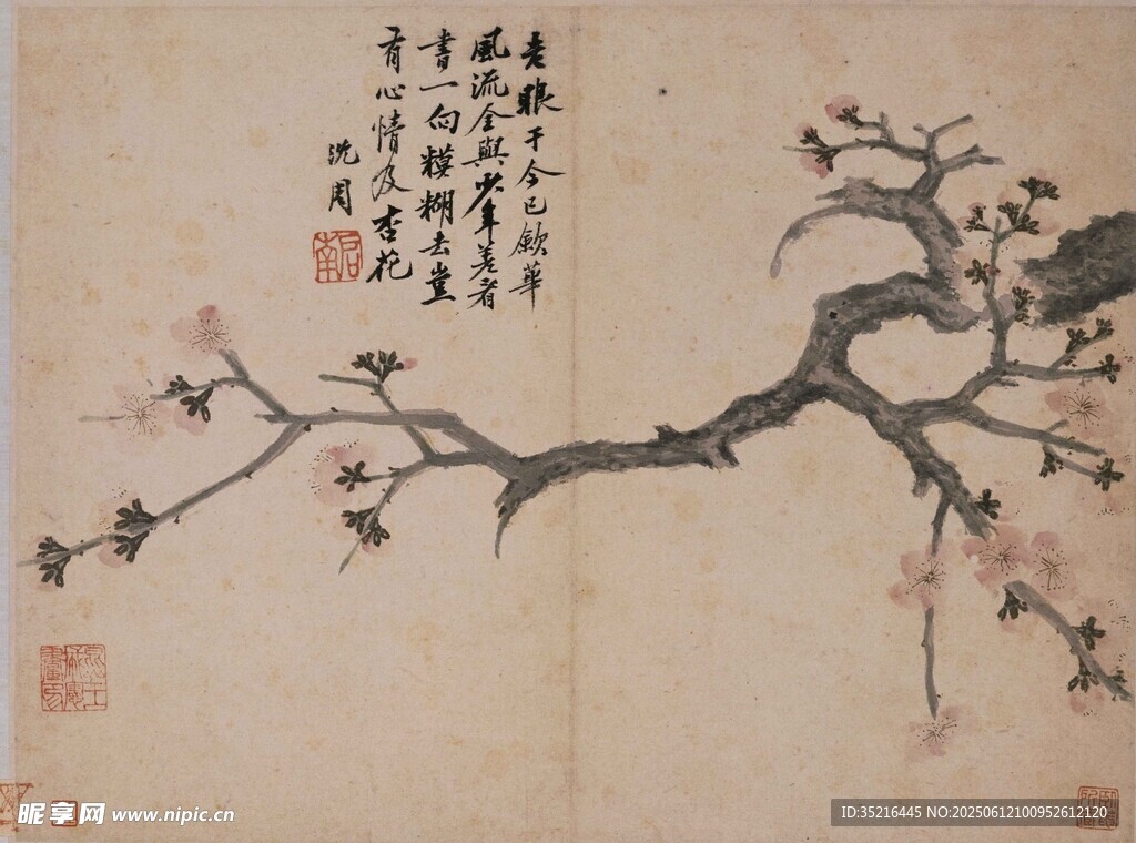 墨梅圖