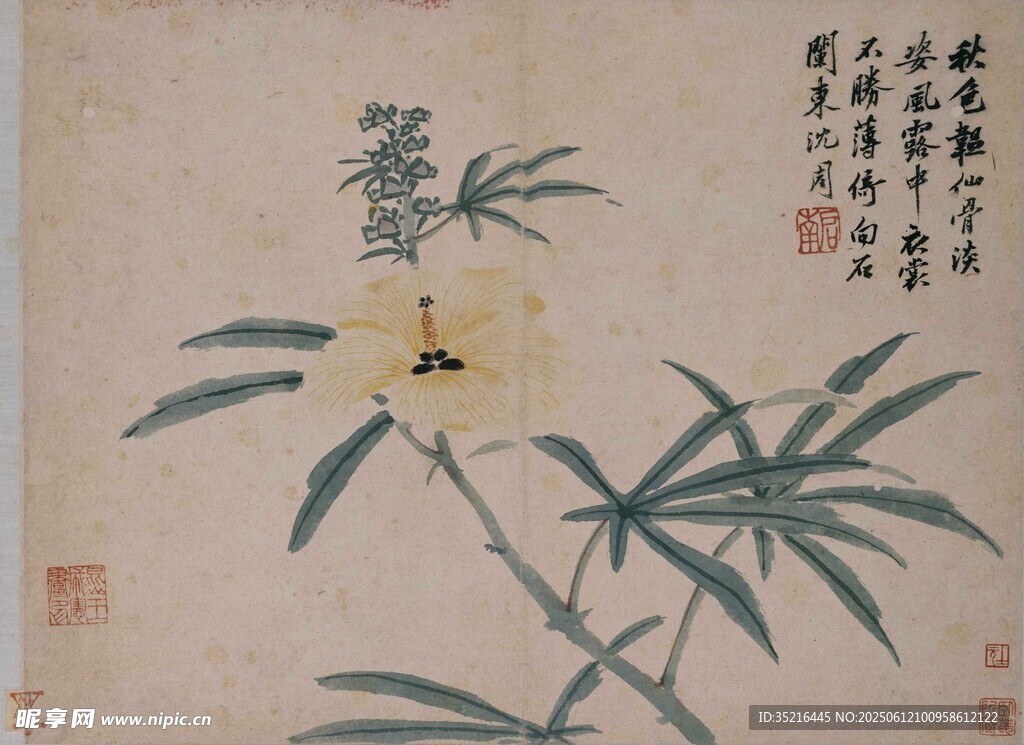 水墨花卉圖