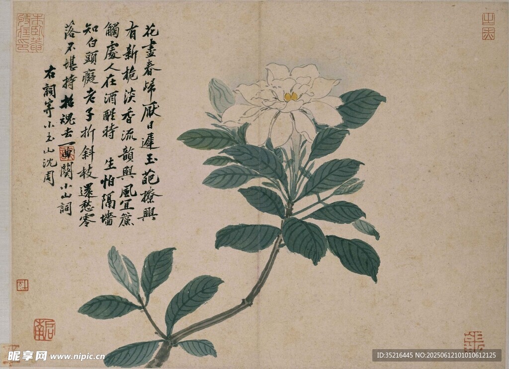 花卉國畫圖