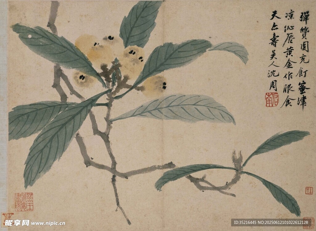 工筆花卉圖