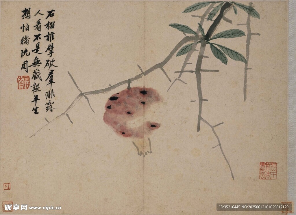水墨花卉圖
