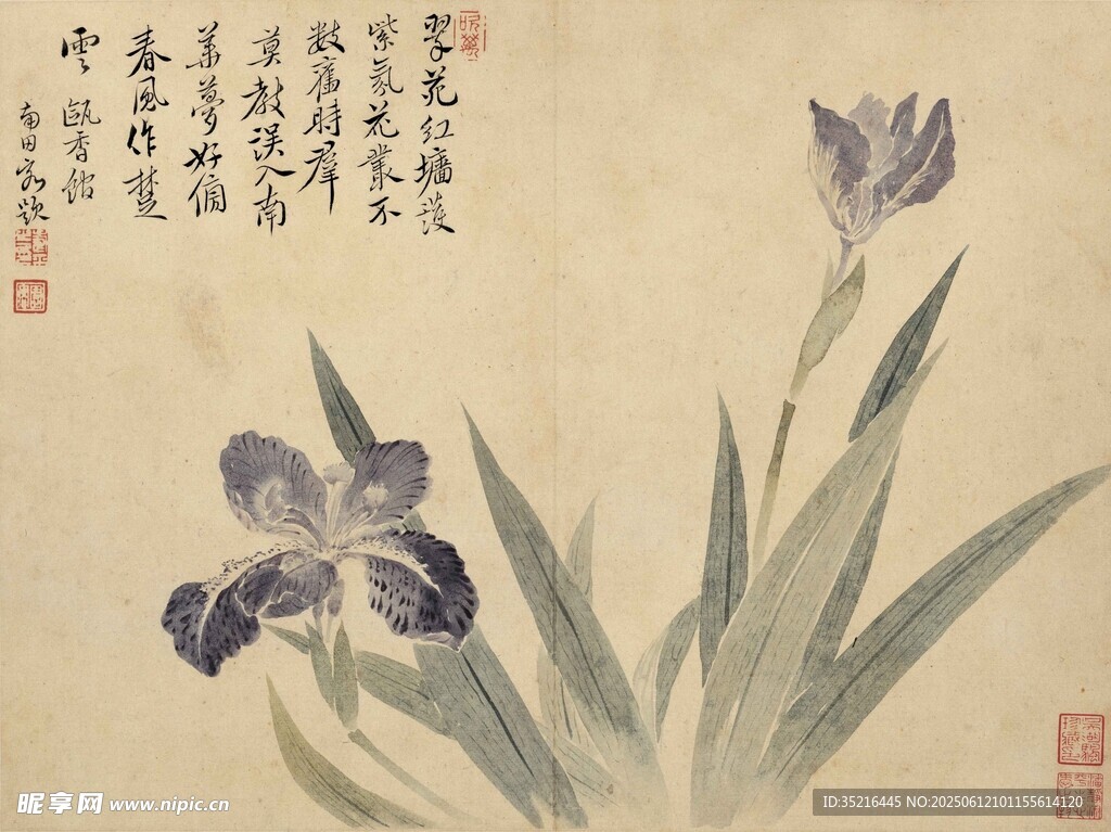 水墨鳶尾圖