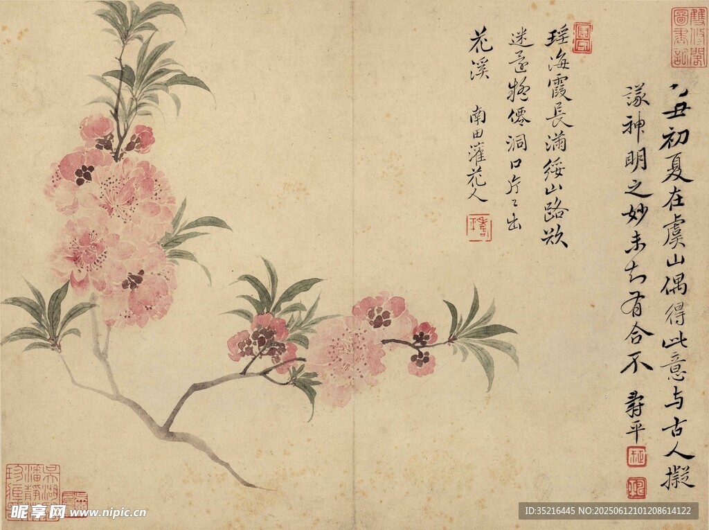 水墨桃花圖