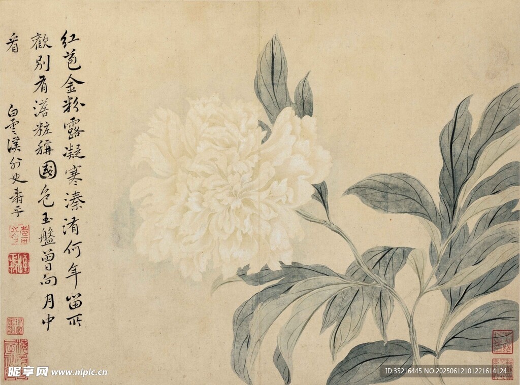 水墨花卉圖