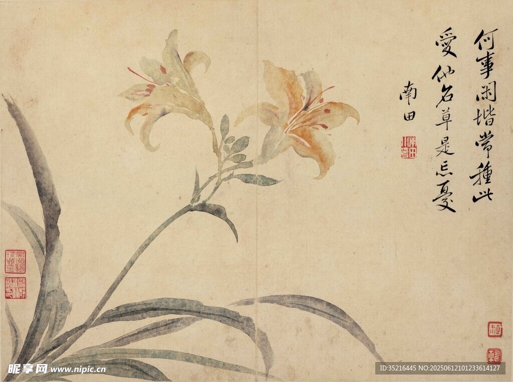 水墨蘭花圖
