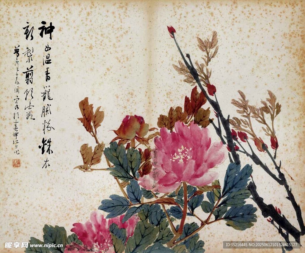 國畫牡丹圖