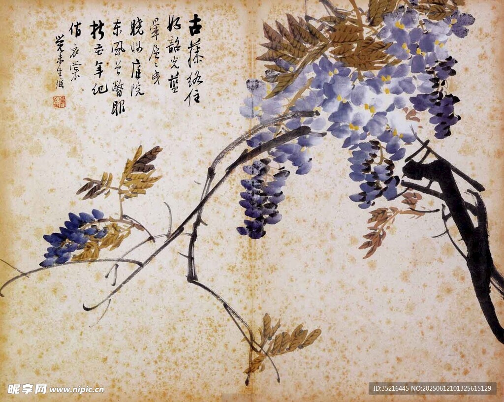 畫