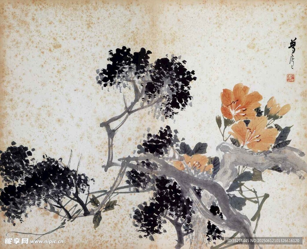 畫