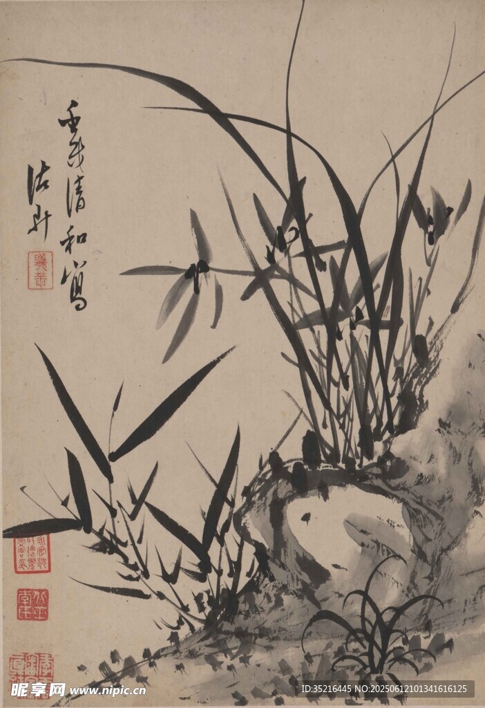 畫