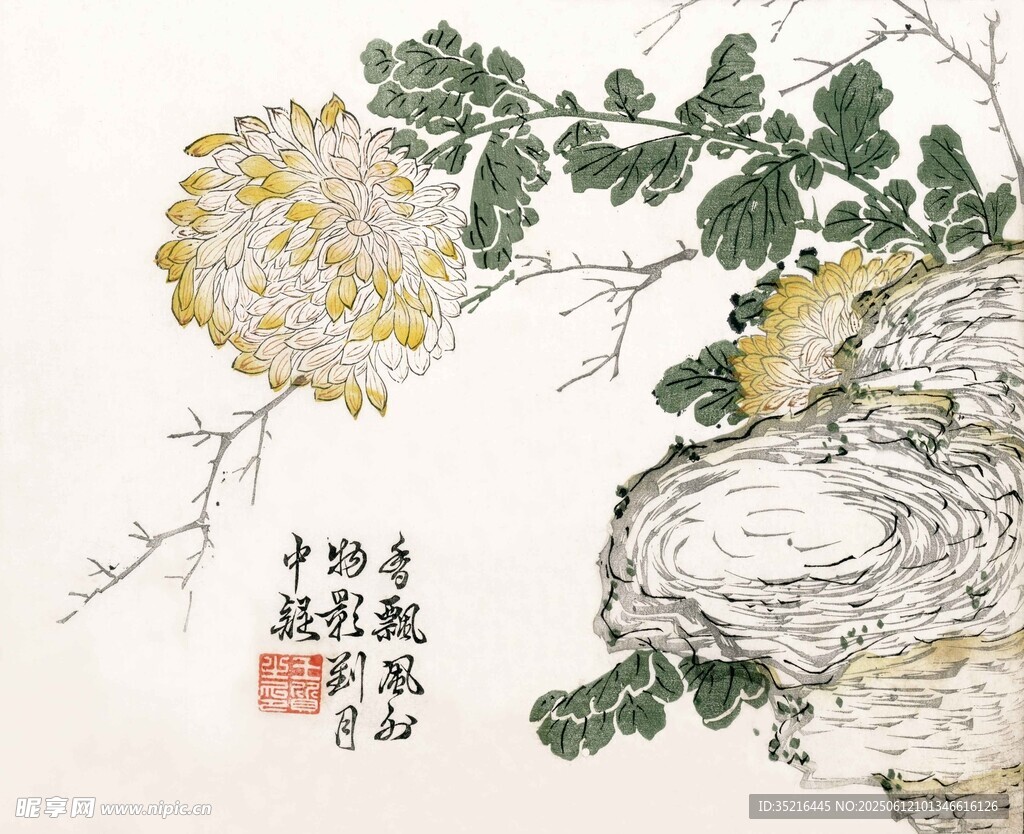 畫
