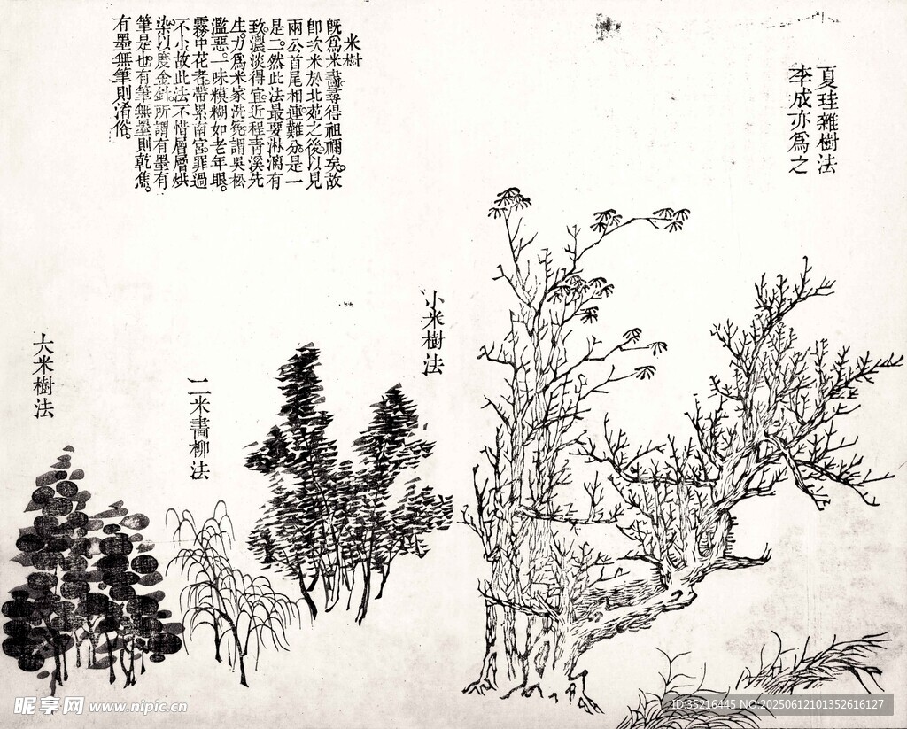 畫