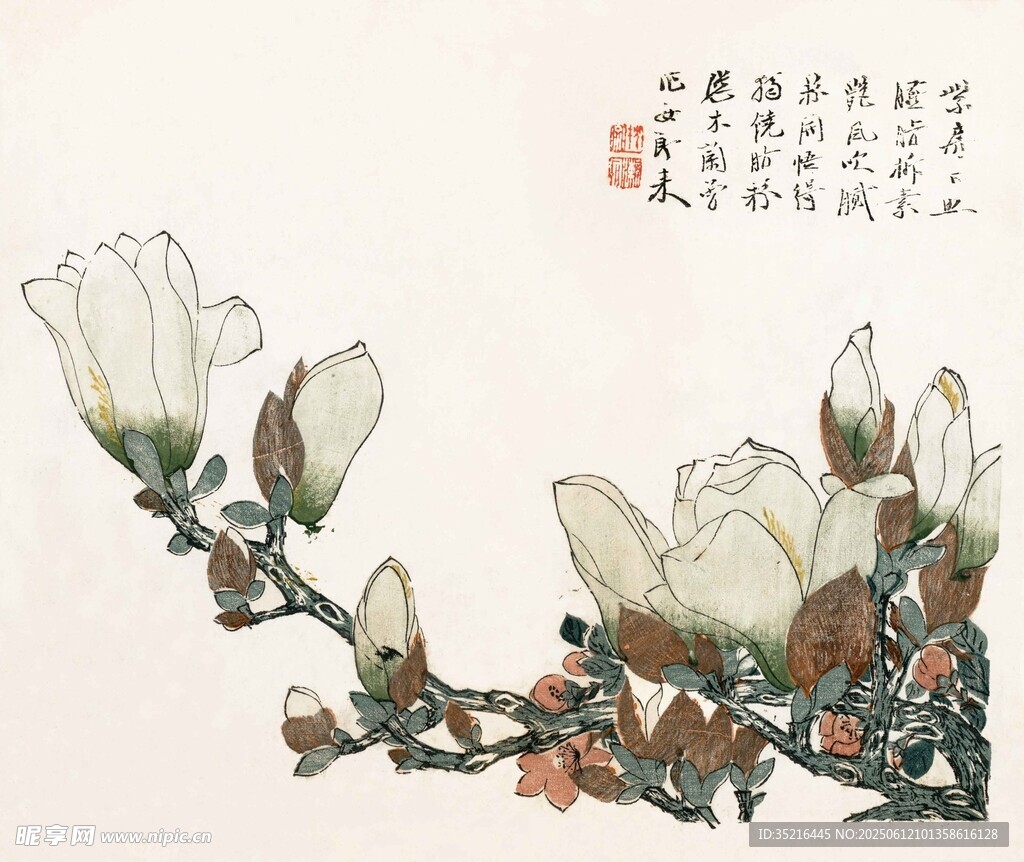 畫