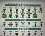 各種花圖片園藝植物素材