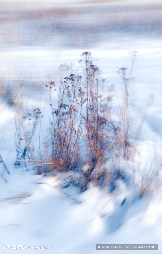 雪覆枯草的冬日景象