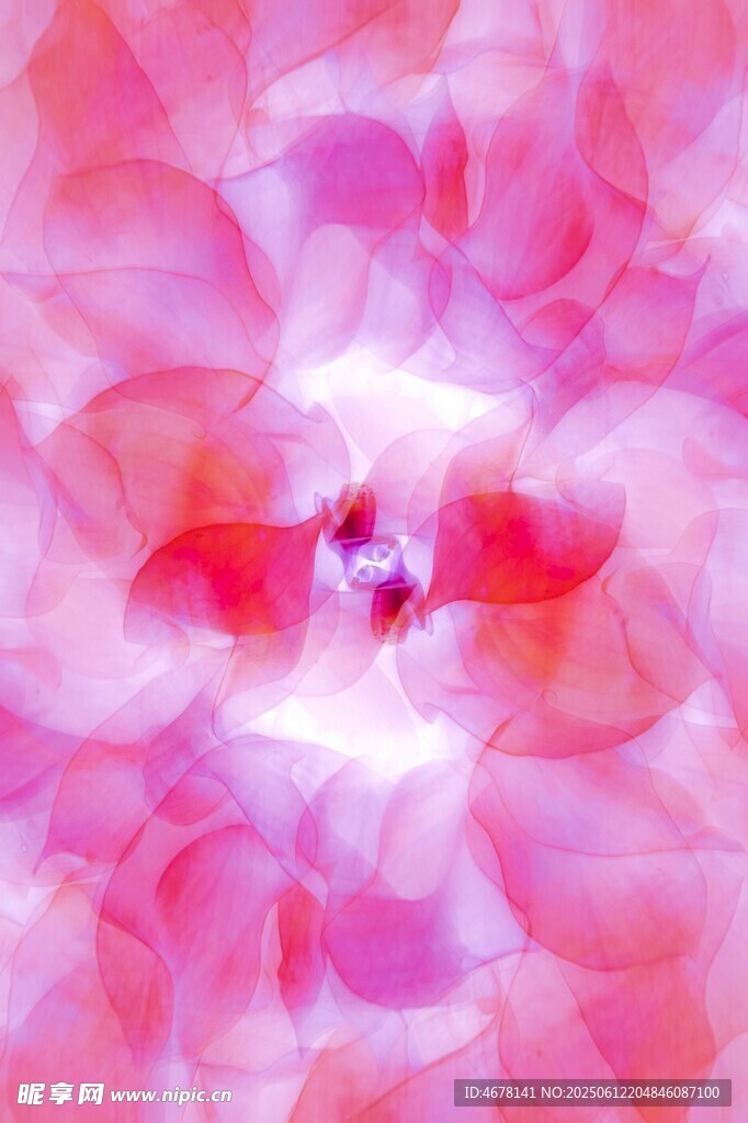 夢幻粉色抽象花朵圖案