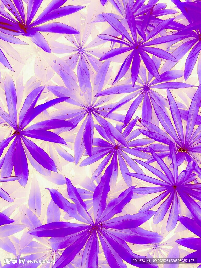 紫色花卉圖案背景紋理