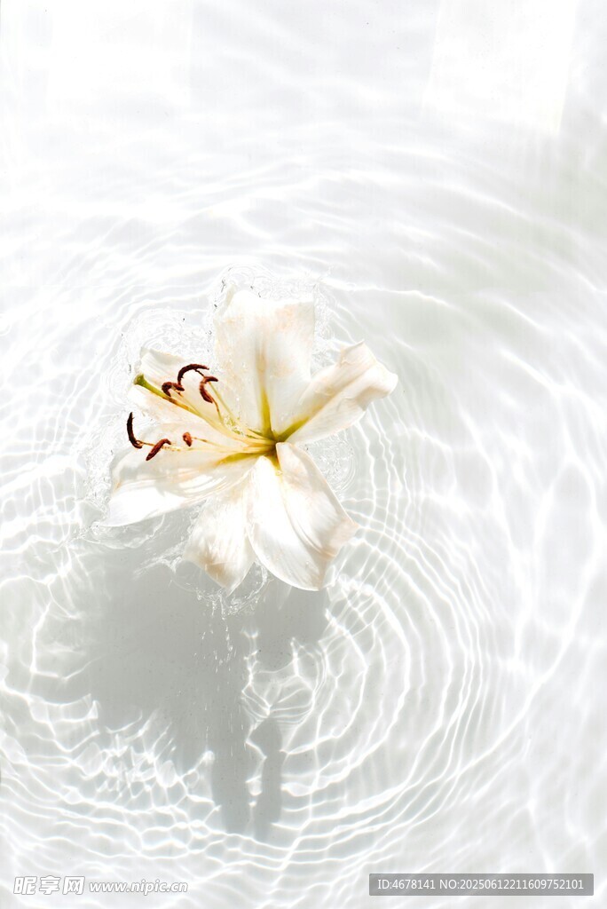 水中白花泛起漣漪