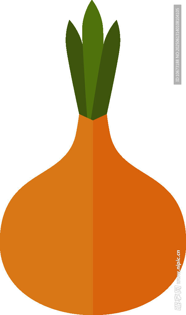 橙色洋蔥插畫