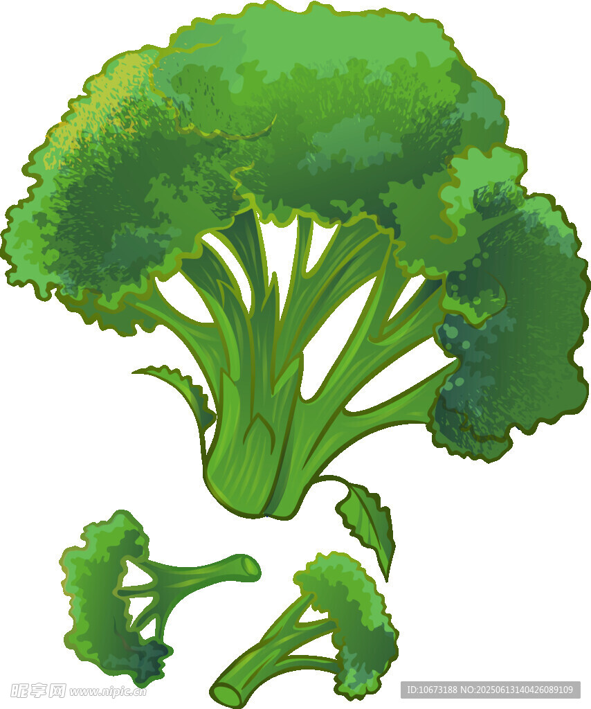 西蘭花插畫