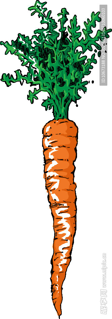 卡通胡蘿卜插畫
