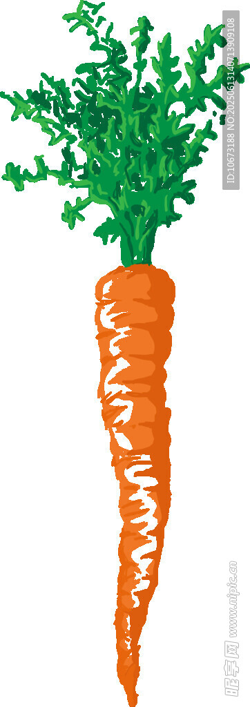 可愛胡蘿卜插畫