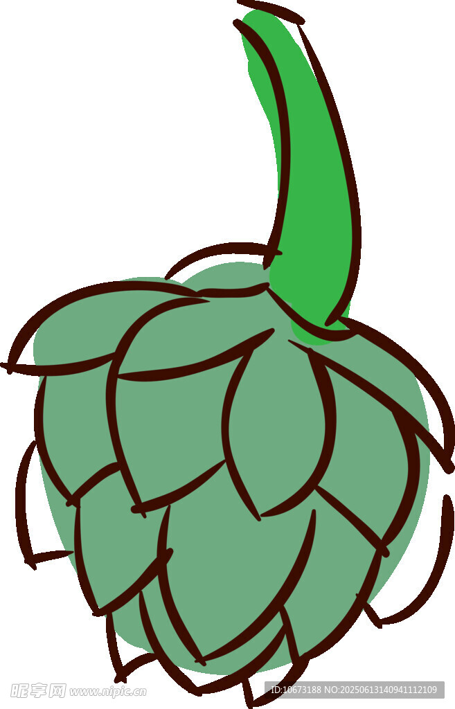 啤酒花插畫