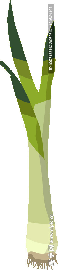 大蔥