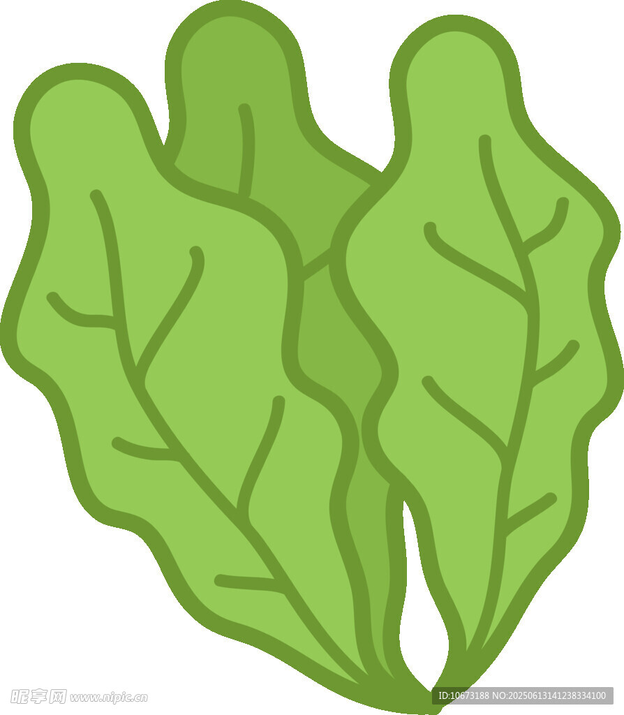 兩片綠葉插畫