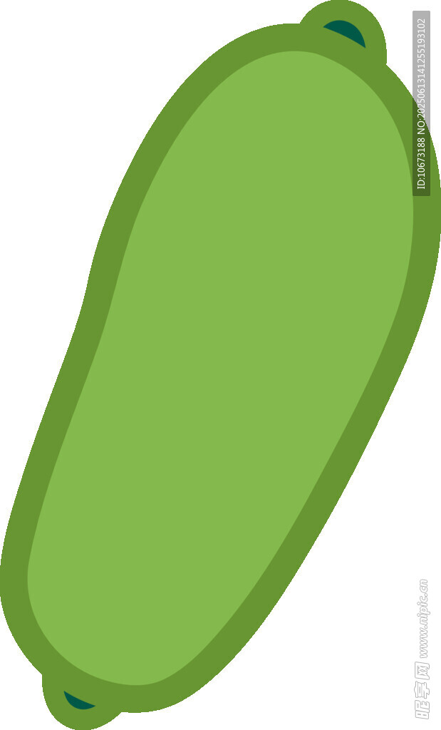 綠色西葫蘆蔬菜插畫