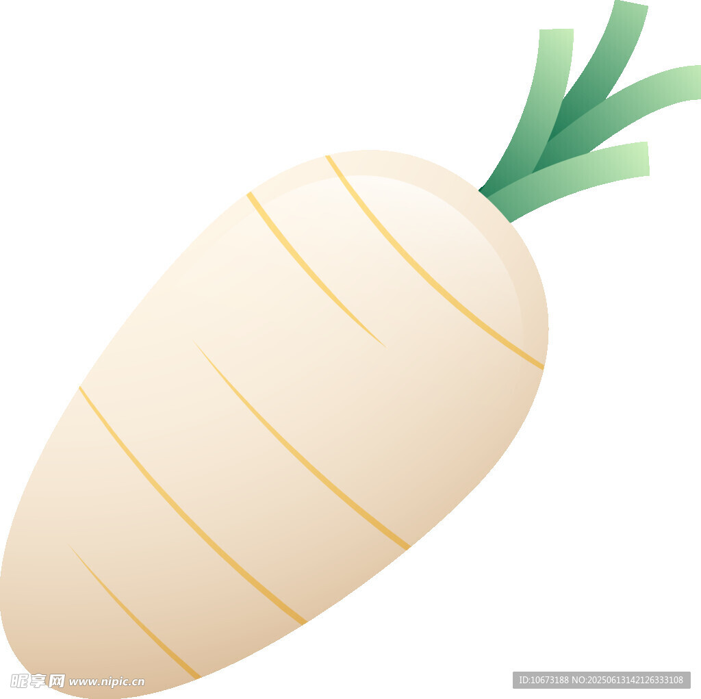 卡通白蘿卜插畫(huà)
