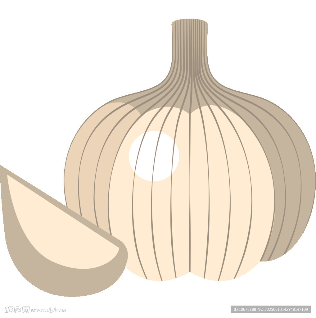 大蒜插畫