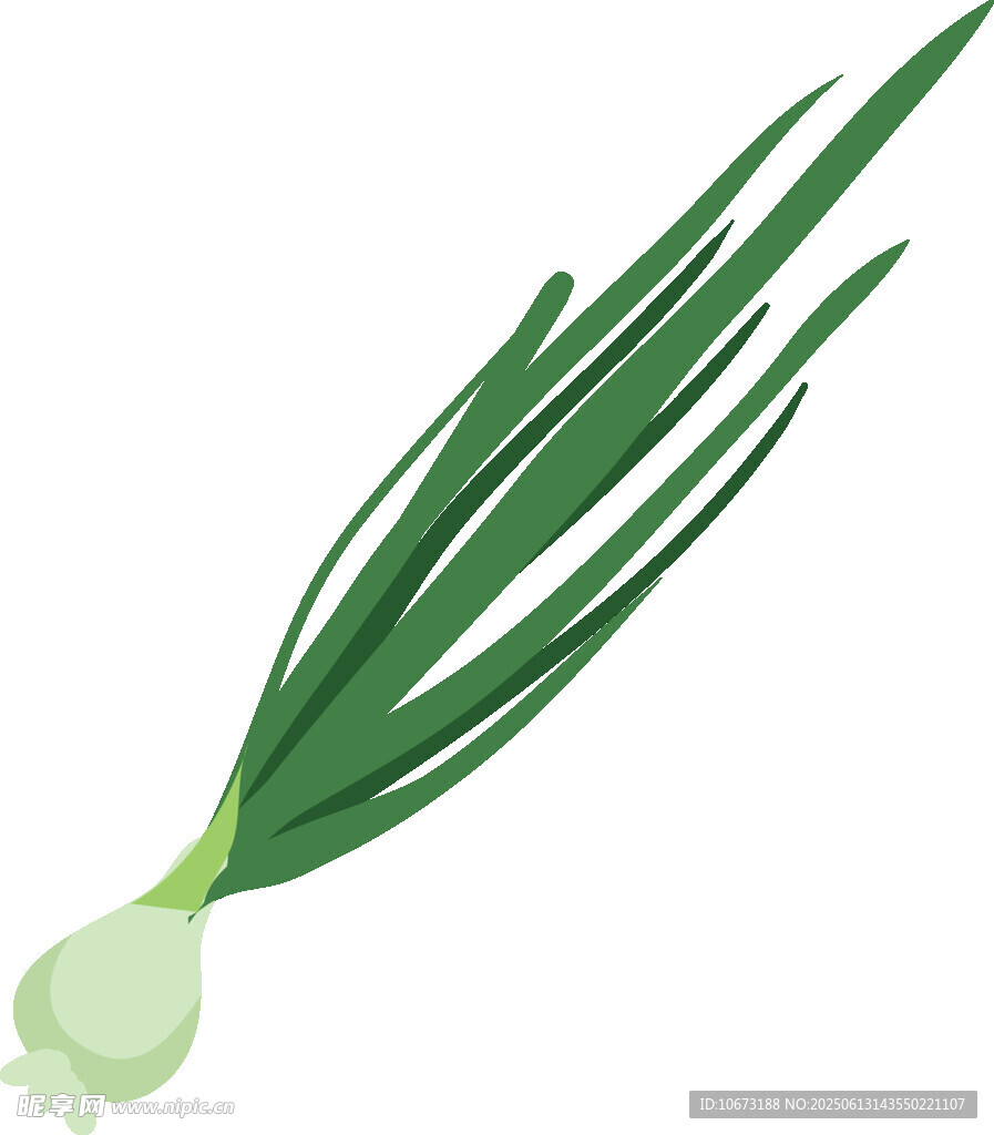 新鮮翠綠的蔥