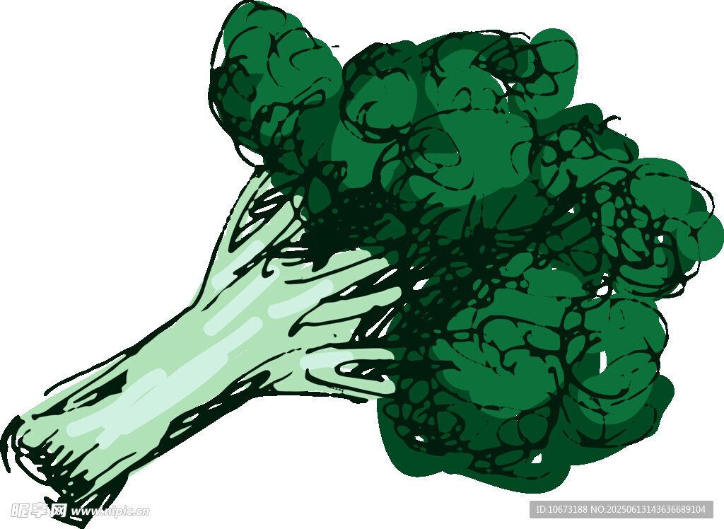 手繪西蘭花蔬菜插畫