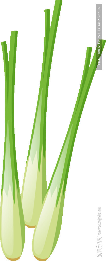 新鮮嫩綠大蔥