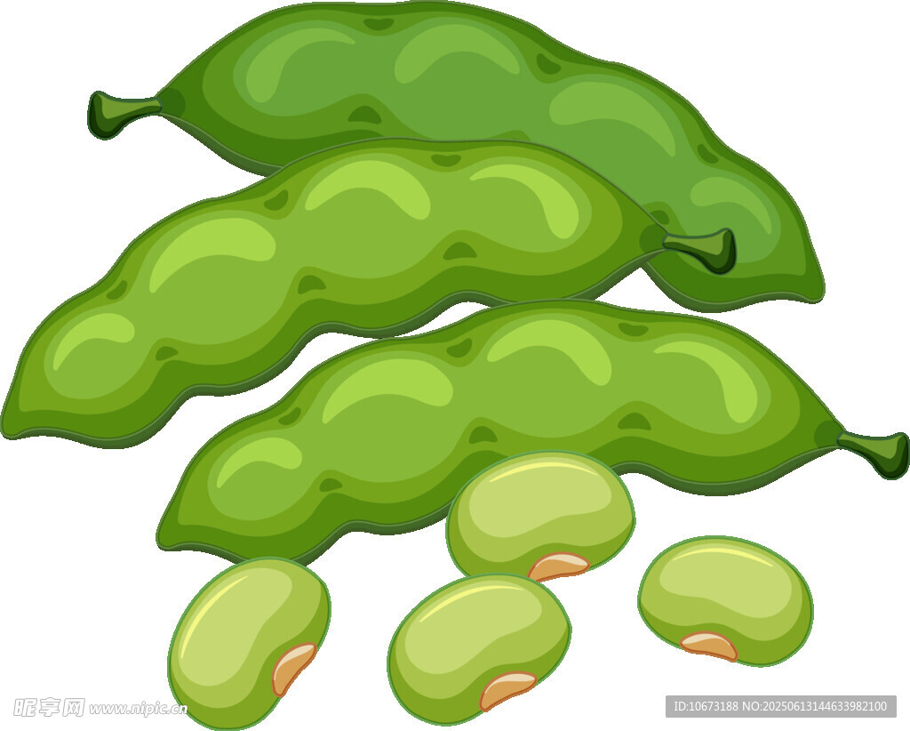 新鮮翠綠的毛豆莢與豆子
