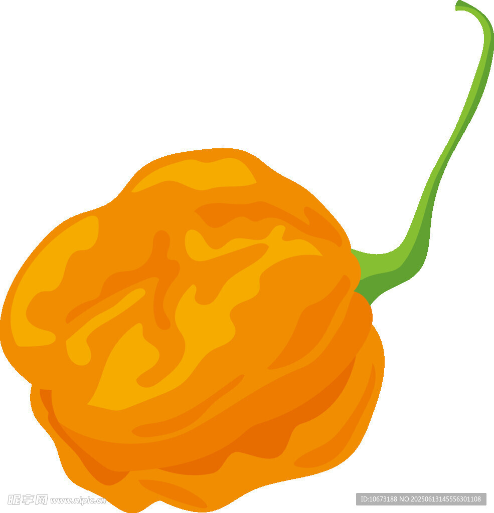 橙色燈籠椒插畫