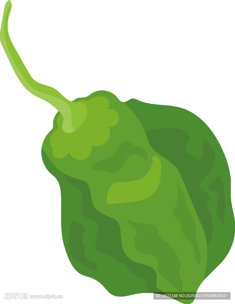 鮮綠青椒插畫